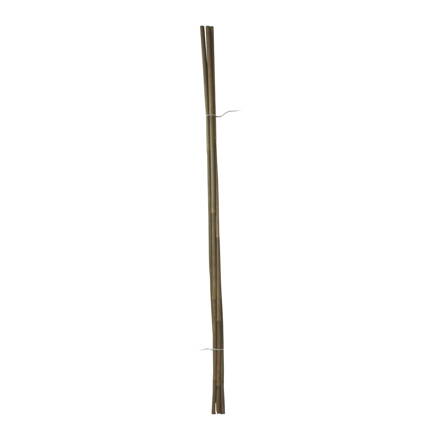 tyč bambusová, O 12 - 14 mm x 120 cm, súprava 5 ks