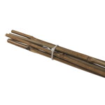 tyč bambusová, O 8 - 10 mm x 60 cm, súprava 5 ks tyč bambusová, O 8 - 10 mm x 60 cm, súprava 5 ks